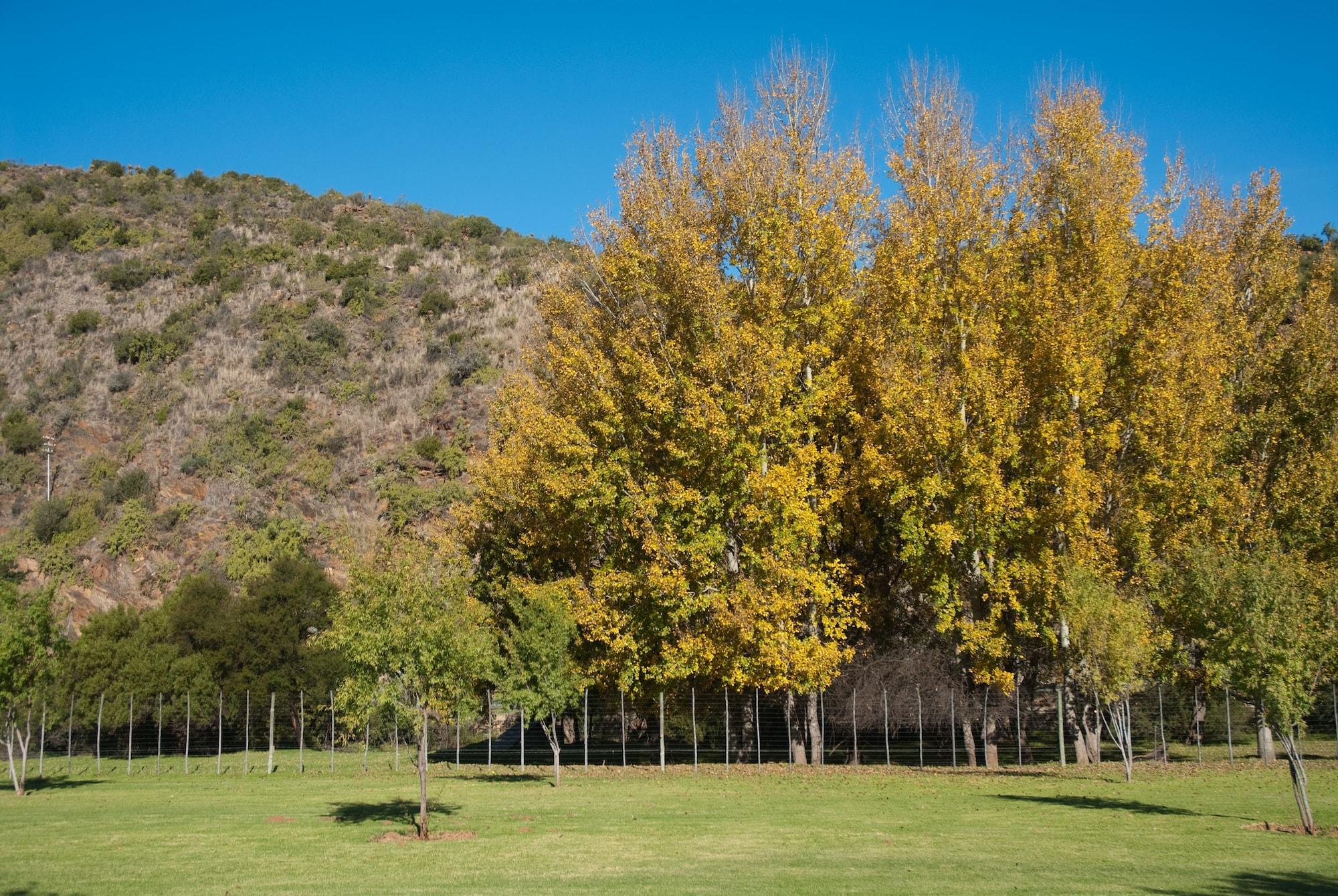 Old Mill Country Lodge & Restaurant Oudtshoorn Extérieur photo