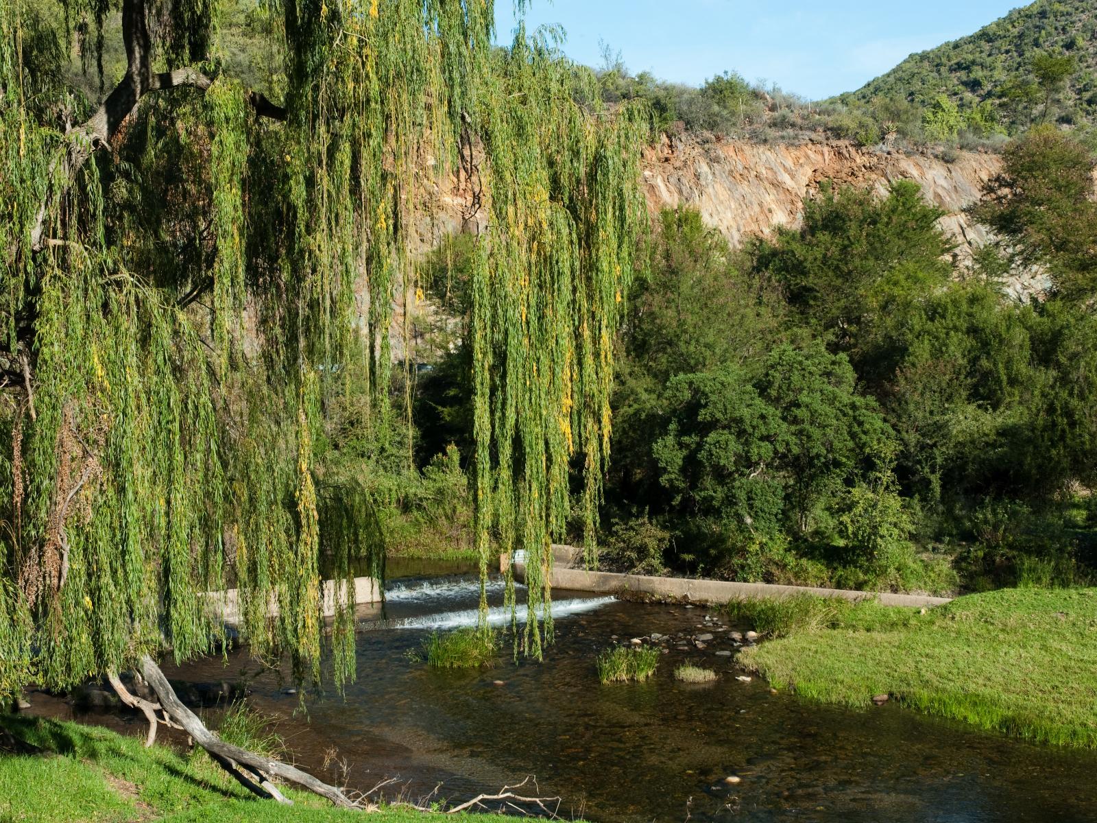 Old Mill Country Lodge & Restaurant Oudtshoorn Extérieur photo