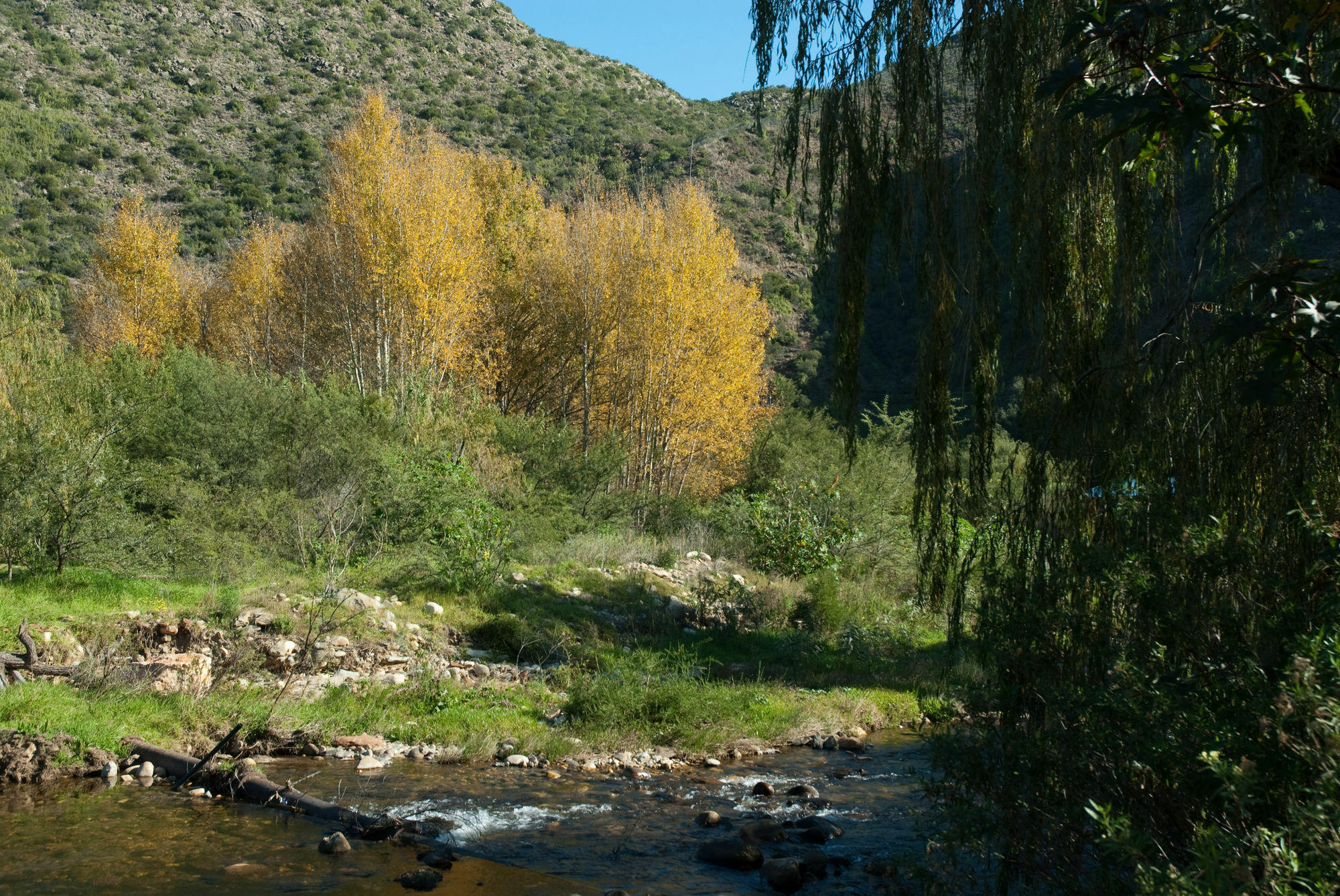 Old Mill Country Lodge & Restaurant Oudtshoorn Extérieur photo